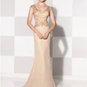 Handmade evening gown (based on the Cameron Blake pictured)